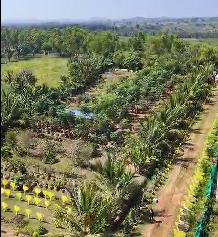 VPO BG Farm 1